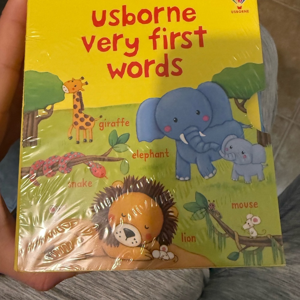 Born Usborne First Words Book Set - Learning Collection - Picture 8 of 9